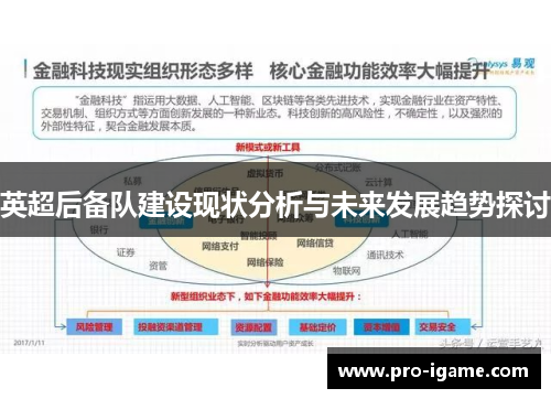 英超后备队建设现状分析与未来发展趋势探讨