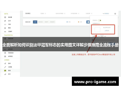 全面解析如何识别法甲冠军标志的实用图文详解步骤指南全流程手册