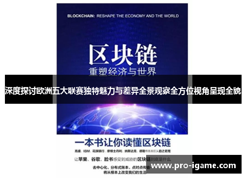 深度探讨欧洲五大联赛独特魅力与差异全景观察全方位视角呈现全貌