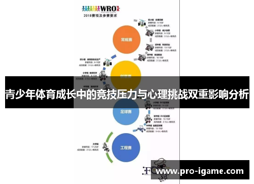 青少年体育成长中的竞技压力与心理挑战双重影响分析