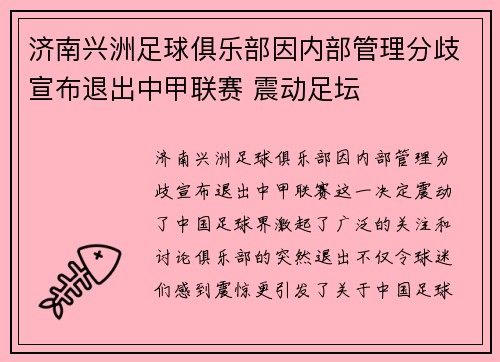 济南兴洲足球俱乐部因内部管理分歧宣布退出中甲联赛 震动足坛